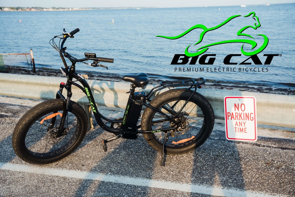 Big Cat Bikes Top Sellers