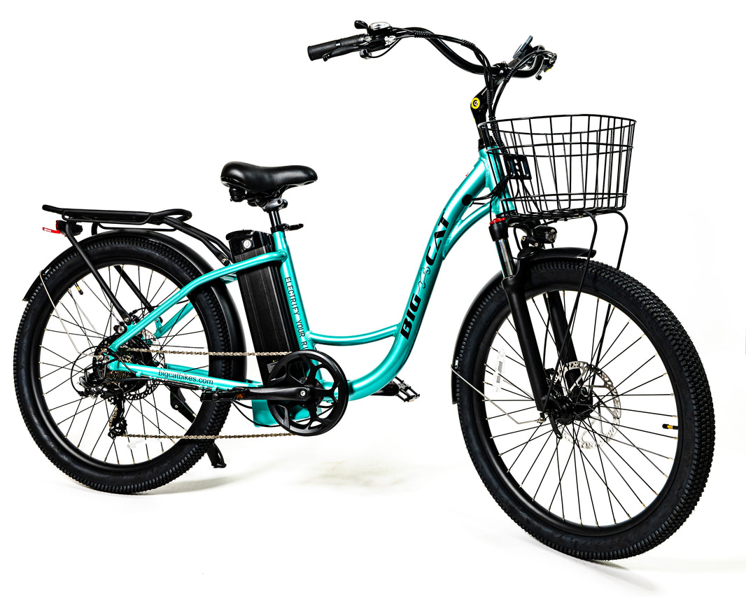 quiet cat electric bike for sale