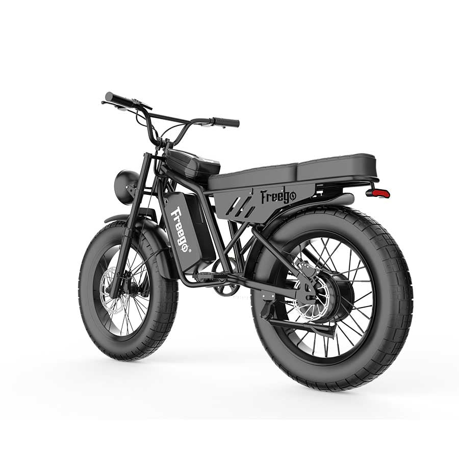 Big Cat Shotgun Lite F0 by Freego: Ideal Electric Bike for Short Riders (4'11" to 5'11")