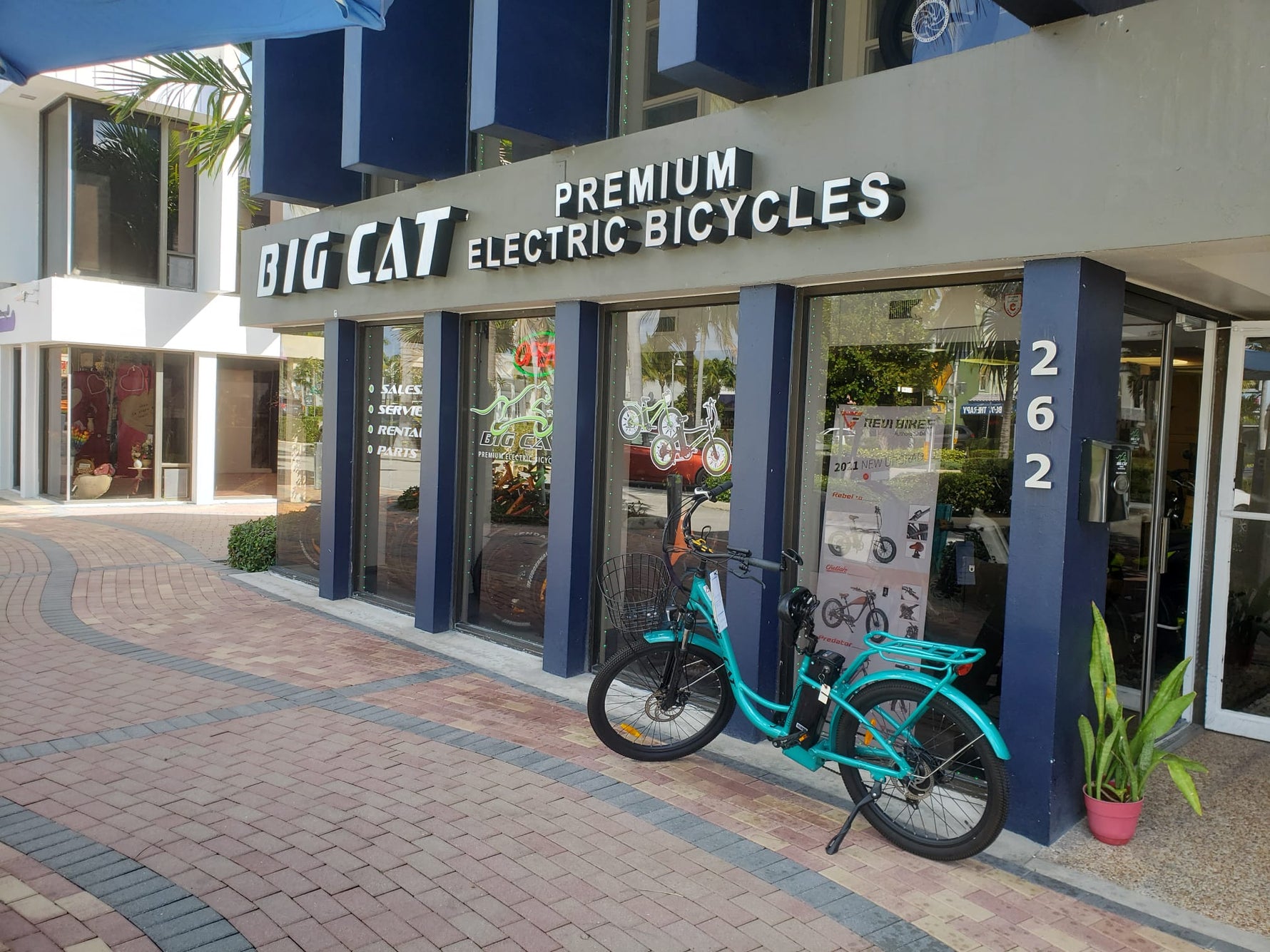 cat bike rack