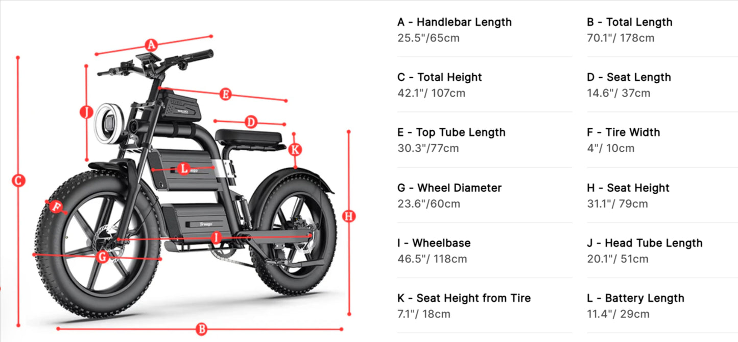 Big Cat Dual Battery Electric Bike motorcycle style with Adjustable Seat E20 by Freego