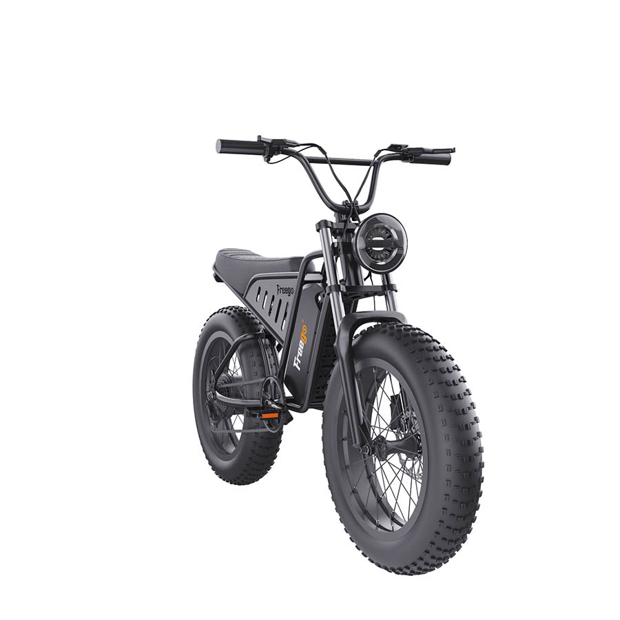 The Big Cat Nachbike Motorcycle Style Electric Bike