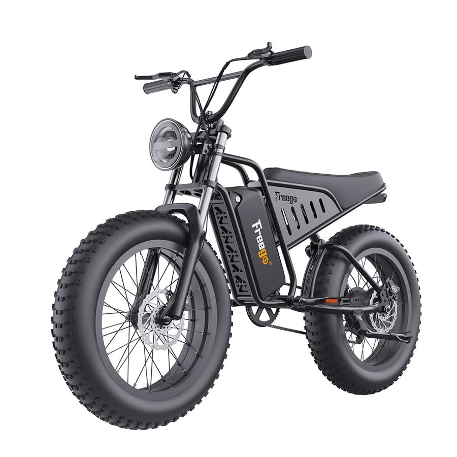 The Big Cat Nachbike Motorcycle Style Electric Bike