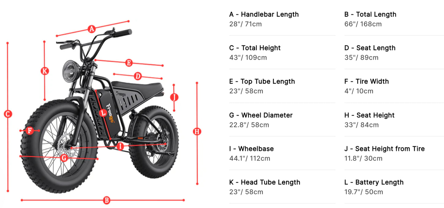 The Big Cat Nachbike Motorcycle Style Electric Bike