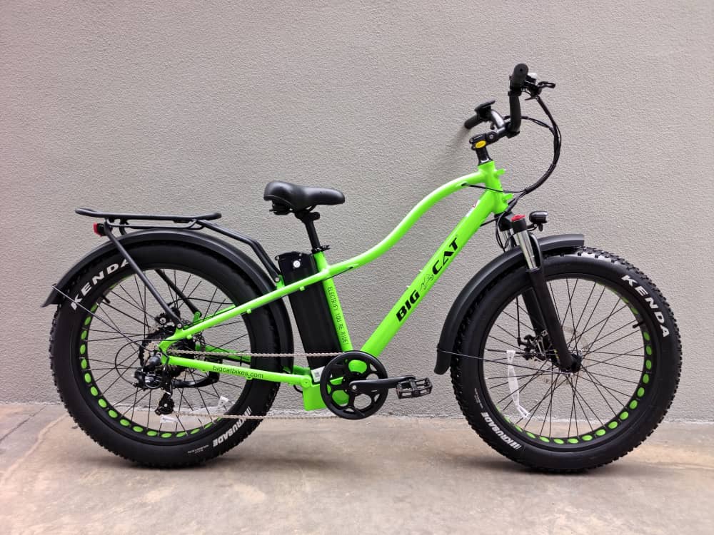 BIG CAT 2024 Fat Cat 1K 1000W Fat Tire Electric Bicycle Big Cat Electric Bikes