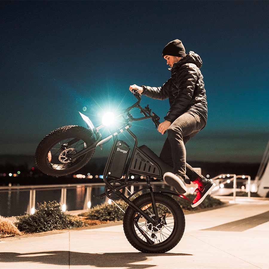 The Big Cat Nachbike Motorcycle Style Electric Bike